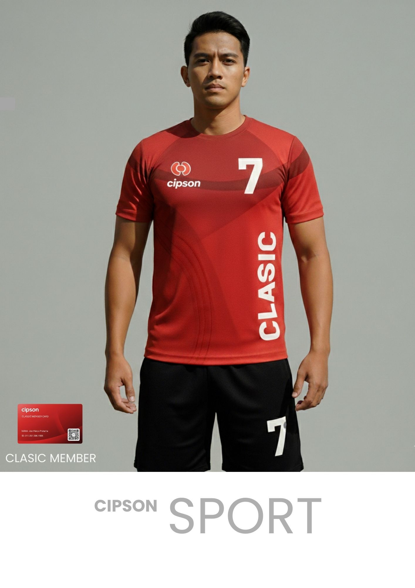 Theme clasic member